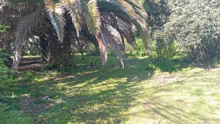 Terreno en Navarro, Calle 123 al 100